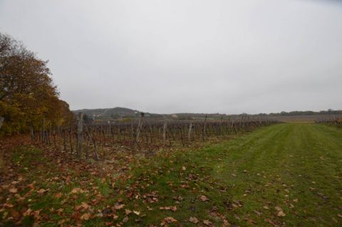 Eladó Telek 8245 Pécsely 