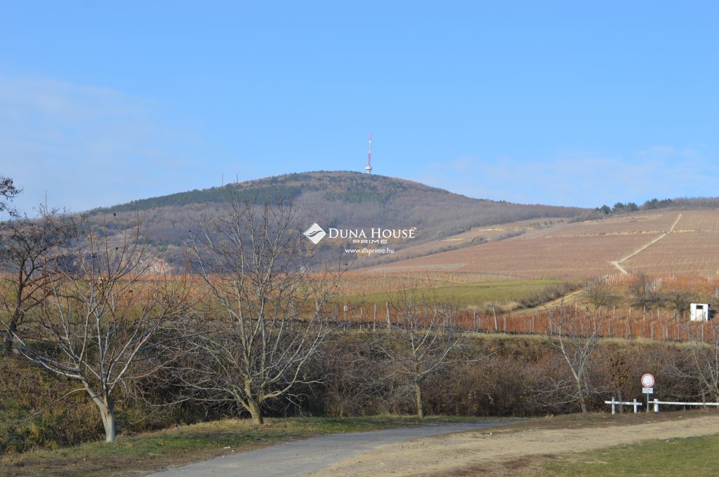 Eladó ház, Tokaj