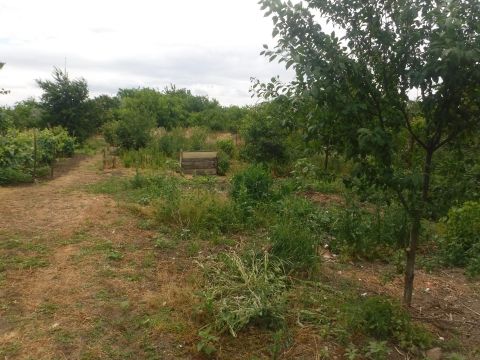 Eladó Telek 4030 Debrecen 