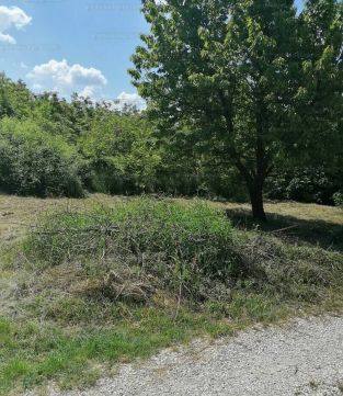 Eladó Telek 2500 Esztergom 