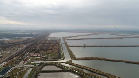 Eladó Mezőgazdasági 5000 Szolnok Szolnok megyei halastó komplexum