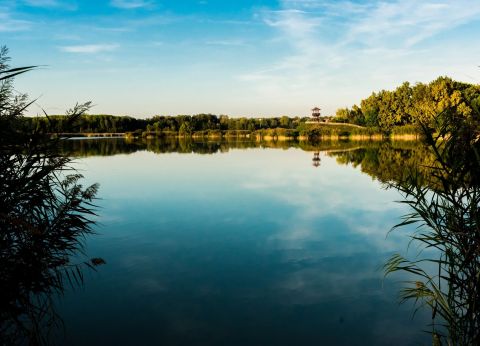 Eladó Ház 6400 Kiskunhalas , Sóstó lakóparkban nappali + 2 szobás CLT ház NAPELEMMEL, hőszivattyúval