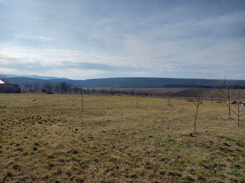 Eladó Telek 2641 Berkenye Kossuth utca