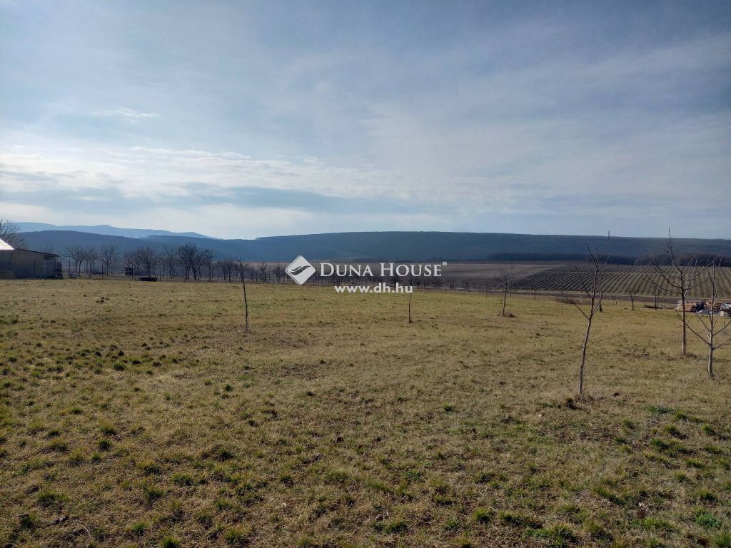 2641 Berkenye , Kossuth utca — 1/5