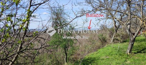Eladó Telek, Somogy megye, Hollád - Balaton mellett, a Bari-hegyen, akácos telek eladó tócsücsök panorámával