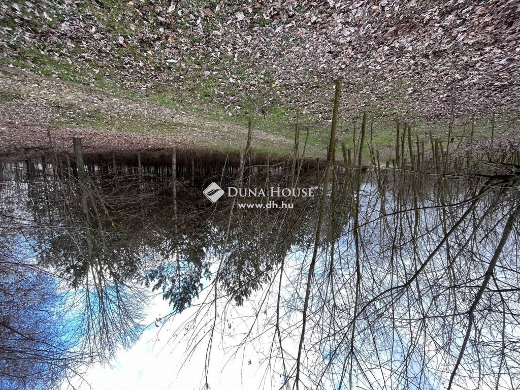 6041 Kerekegyháza — 1/5