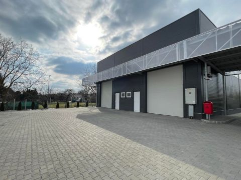 Kiadó Ipari 7631 Pécs 