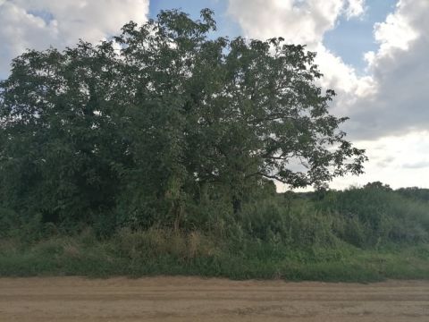 Eladó Telek 7664 Berkesd , Berkesden eladó külterületi telek