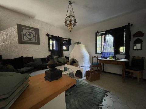 Eladó Ház 6045 Ladánybene , TÉGLAÉPÍTÉSŰ 160 m2-es RENDEZETT TANYA SZOMSZÉDOK NÉLKÜL 5700 m2-es TERÜLETTEL