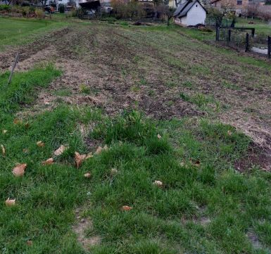 Eladó Telek 8056 Bakonycsernye 645 m2-es összközműves építési telek a központban