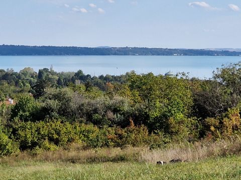 Eladó Telek 8174 Balatonkenese , Balatoni panorámás 3000nm telek 3%-ban beépíthető, 2 szinten.