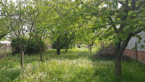 Eladó Telek 5000 Szolnok , 5000 Szolnok, Holt Tisza