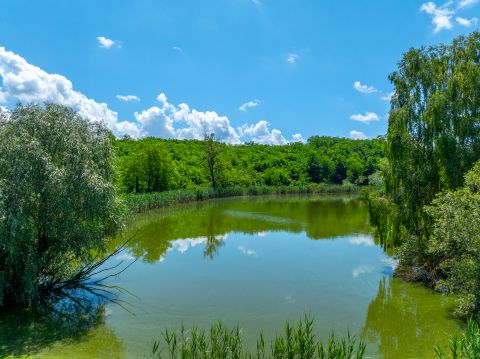 Eladó Ház 8613 Balatonendréd Siófok