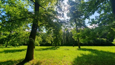 Eladó Ház 8800 Nagykanizsa Eladó 7,7 hektáros ősfás park - fejlesztési terület