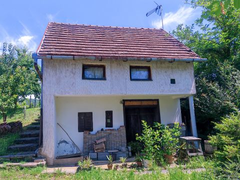 Eladó Telek 7800 Siklós 