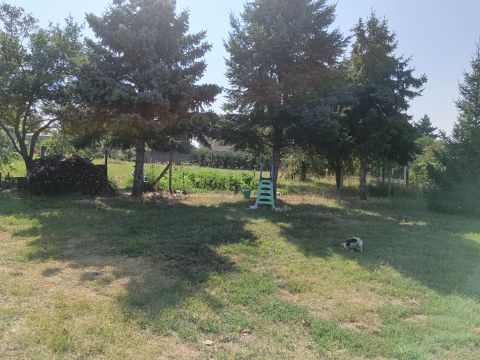 Eladó Telek 2230 Gyömrő vasútállomáshoz közel