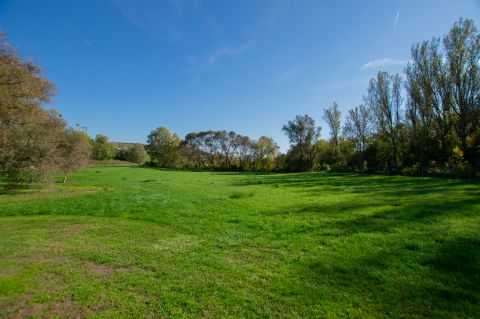 Eladó Ház 2064 Csabdi Budapest közelségében, gyönyörű természeti környezetben lévő birtok 