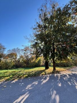Eladó Telek 7628 Pécs , Eladó egymás melletti telkek Pécs Kishegyi-dűlőben!