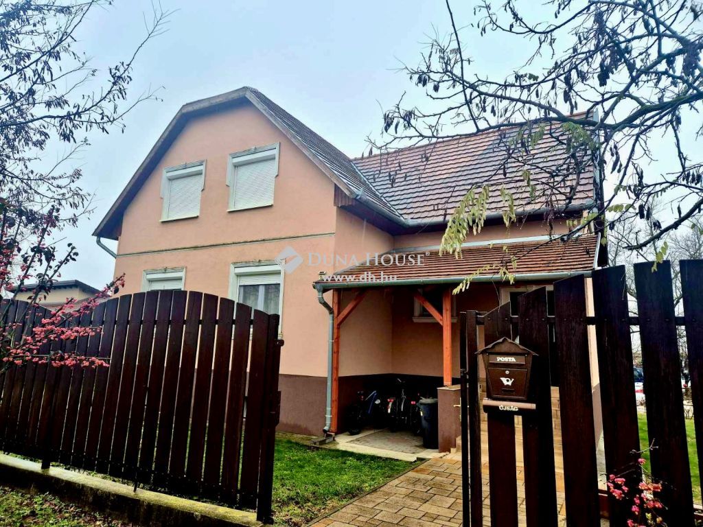 2337 Délegyháza , Csendes utcában — 1/28