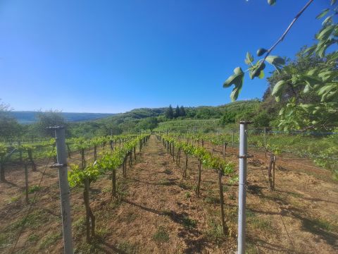 Eladó Telek 8932 Zalaistvánd 