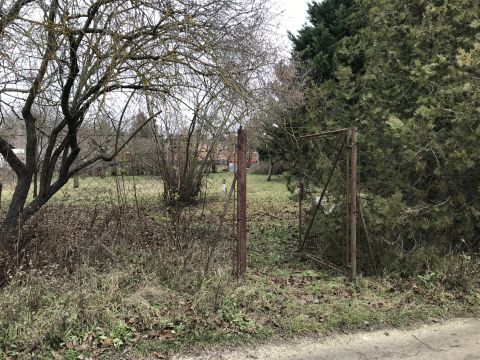Eladó Telek 8000 Székesfehérvár Feketehegy III. dűlö eladó külterületi telek