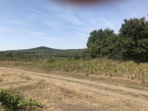 Eladó Telek 8237 Tihany belső tó