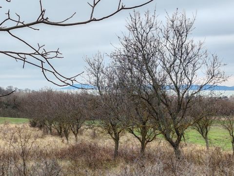 Eladó Telek 8621 Zamárdi Zamárdiban panorámás telek eladó