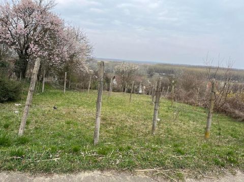 Eladó Telek 7100 Szekszárd , 7100 Szekszárd, Bor utca