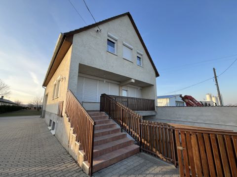 Kiadó Ház 7135 Dunaszentgyörgy , Irodaház / szálláshely