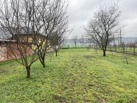 Eladó Telek 2182 Domony 
