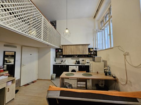 Kiadó Lakás 1083 Budapest 8. kerület , Kisállatbarát Albérlet 