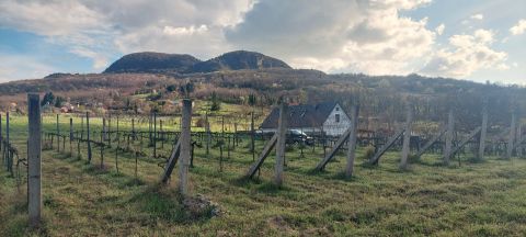 Eladó Telek 8257 Badacsonytomaj 
