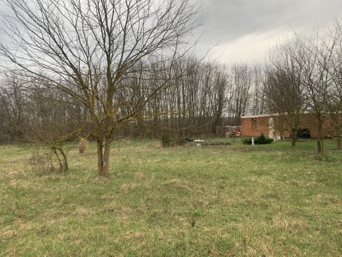 Eladó Telek 2162 Őrbottyán , Őrbottyán, nincs utca