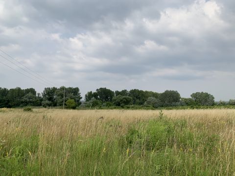 Eladó Telek 2013 Pomáz 