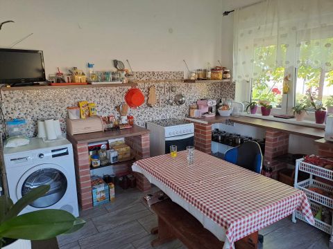 Eladó Mezőgazdasági 6645 Felgyő 