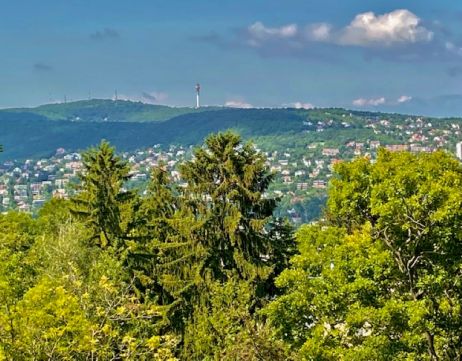 Eladó Telek 1125 Budapest 12. kerület LUXUS VILLA KIALAKÍTÁSÁRA ALKALMAS PANORÁMÁS TELEK ELADÓ BUD