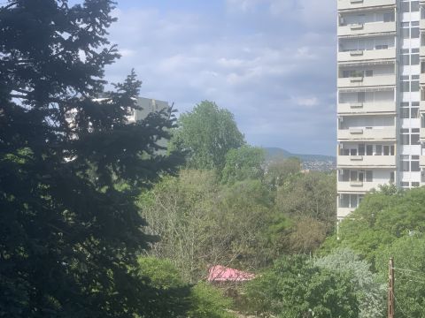 Kiadó Lakás 1142 Budapest 14. kerület , Parkos környezetben, másfél szobás, erkélyes, kisállat barát