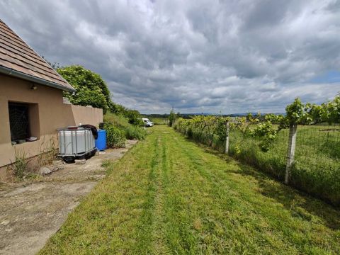 Eladó Telek 2534 Tát , Homoki dűlőről nyilik