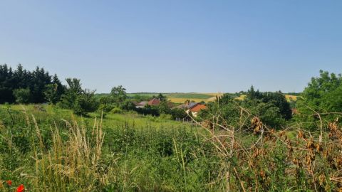 Eladó Telek 7743 Romonya 