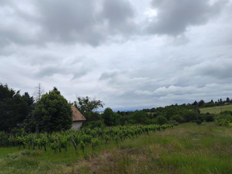Eladó Telek 8174 Balatonkenese 