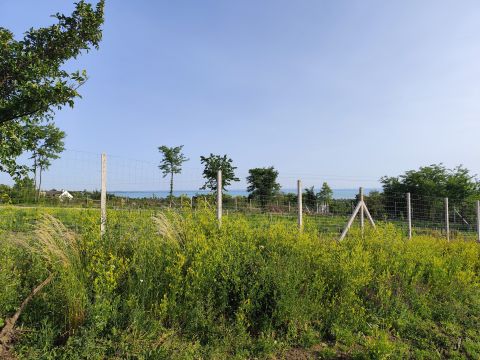 Eladó Telek 8174 Balatonkenese 