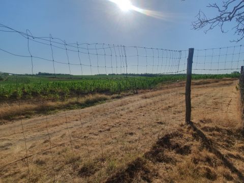 Eladó Telek 2039 Pusztazámor Két utcára nyíló panorámás telek