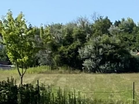 Eladó Telek 9400 Sopron , Fertőrákoson telek eladó!