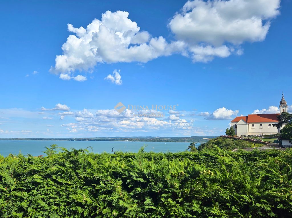 8237 Tihany — 1/40