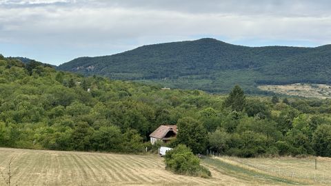 Eladó Telek 2000 Szentendre 