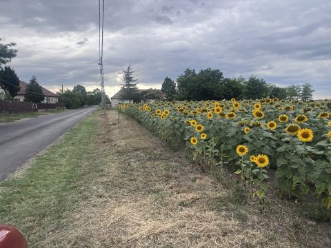 Eladó Telek 2767 Tápiógyörgye 