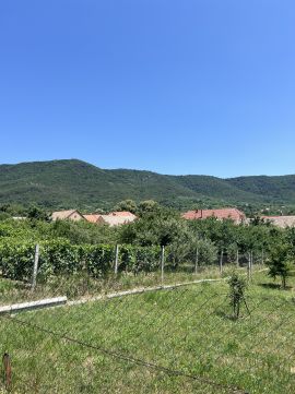 Eladó Telek 7673 Kővágószőlős , Kővágószőllős