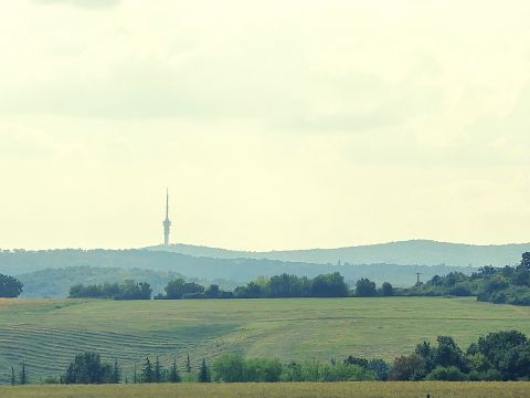 Eladó Telek 7694 Hosszúhetény , Hosszúhetényben 3500 nm-es örökpanorámás építési telek