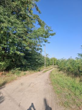 Eladó Telek 2162 Őrbottyán Móra Ferenc
