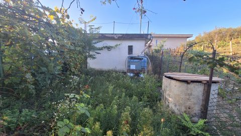 Eladó Ház 2458 Kulcs , Vízpart közeli nyaraló